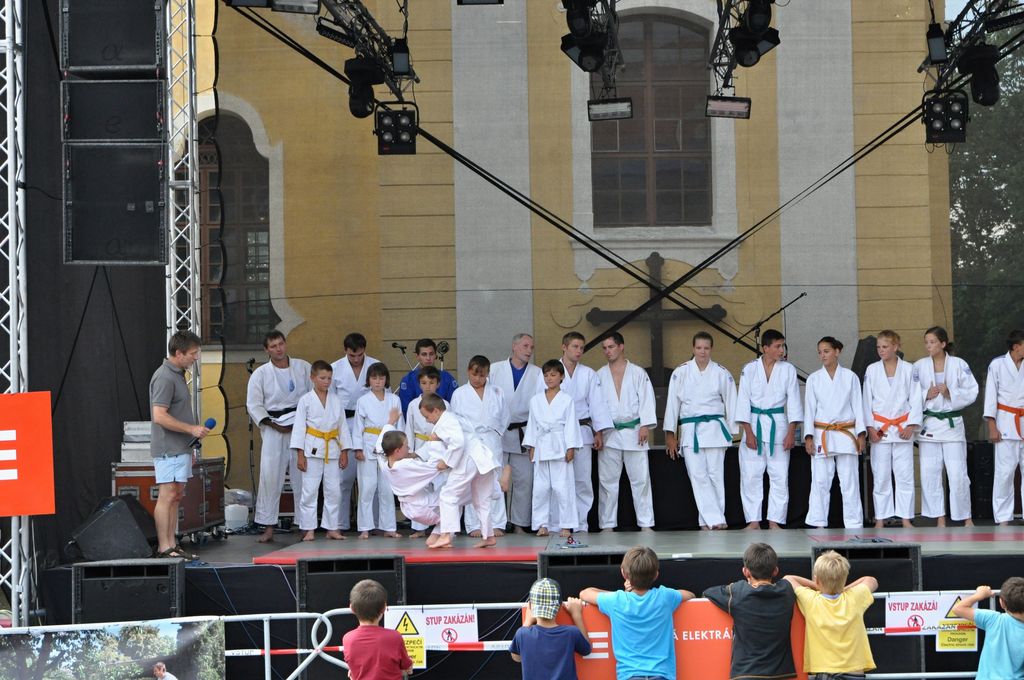 ukazky 2012__06.JPG